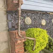 Triumph Dolemite  OHV engine rear tail pipe exhaust, 1500 FWD ￼