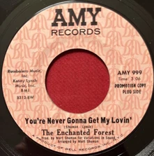 THE ENCHANTED FOREST ~ YOURE NEVER GONNA / SUZANNE (1967) ROCK 45 PROMO AMY 999