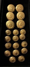 Waterbury Brass Buttons Seattle Washington Police Department Full Set