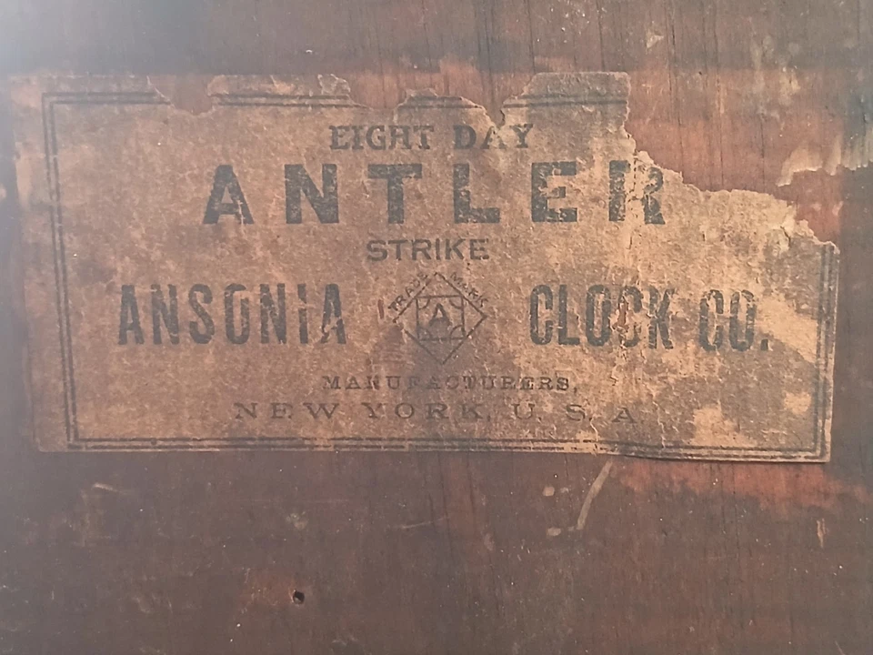 Reloj Ansonia Antler 8 días, Pat. Ansonia Clock Co. 1882 Hecho en Nueva York EE. UU. Foto 3 de 4