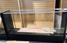 70 Glass Display Showcase W/Adjustable Shelves