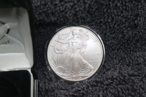 2008 WALKING LIBERTY AMERICAN EAGLE .999 FINE SILVER DOLLAR COIN 1oz. $1 USA