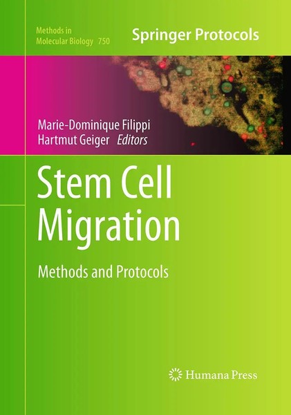 Marie-Dominique Filippi (U. A.) | Stem Cell Migration | Taschenbuch | Englisch-image