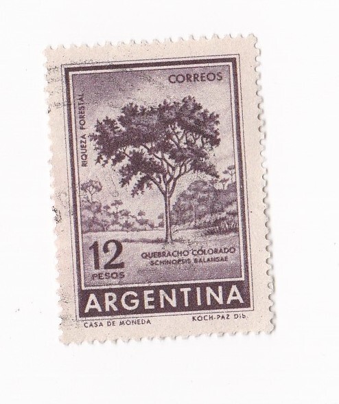 Argentina Vintage Postage Stamp 12 pesos Riqueza Forestal