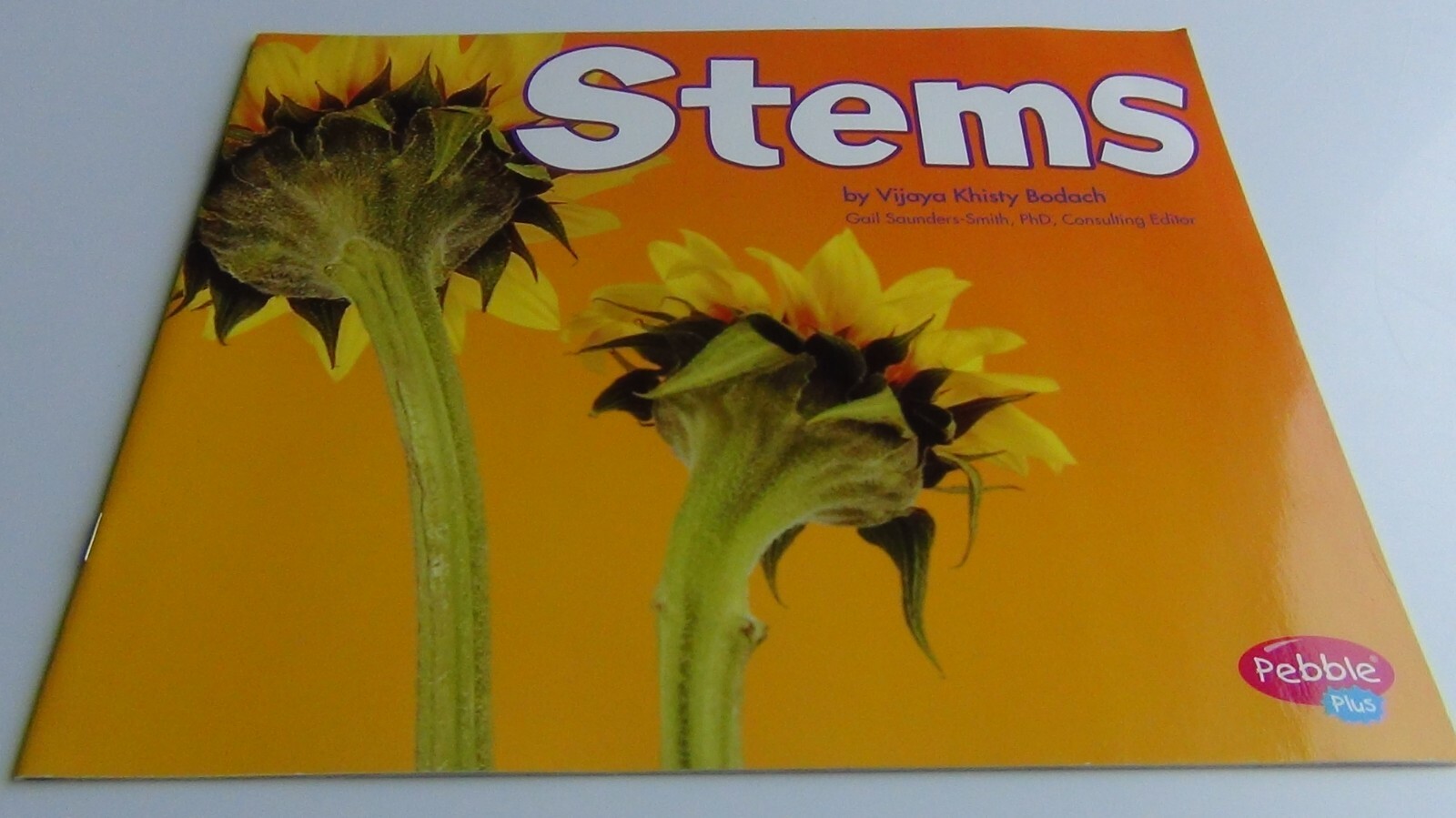 Pebbles Plus Books STEMS by Vijaya Khisty Bodach 2007 Paperback FREE