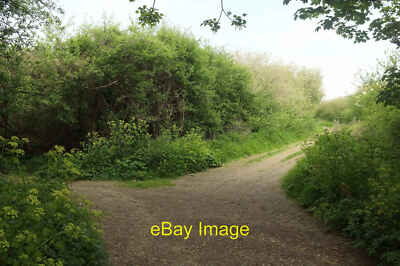 Photo 12x8 Coast path near Harbour Cove Padstow A few metres from [[[70280 c2021