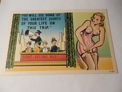 You will see some of the greatest sights of your life,  risque vintage Postcard