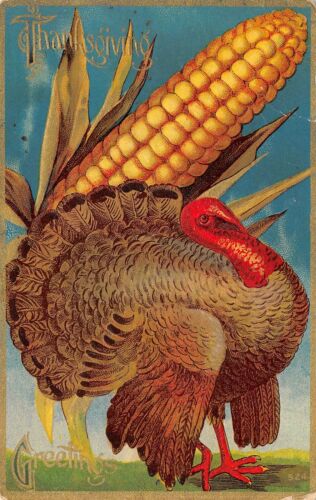 Postcard Thanksgiving Greetings Embossed Turkey and Corncob 1909 - Afbeelding 1 van 2