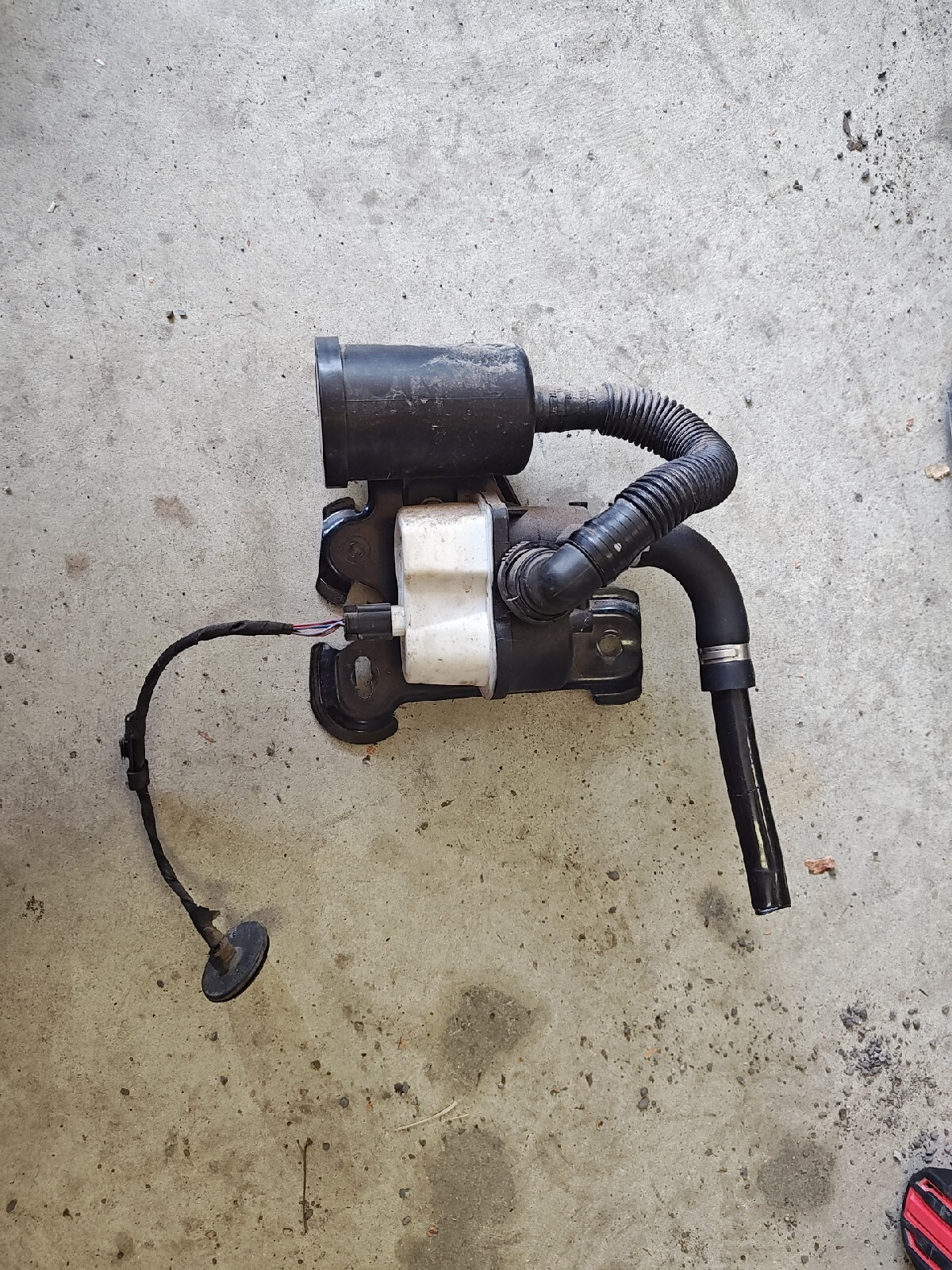 1121 Volkswagen Jetta Beetle Passat Evap Leak Detection Pump OEM eBay