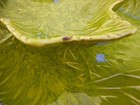 Bild 11 von 11