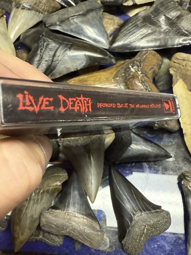 1994 LIVE DEATH MILWAUKEE METALFEST CANCER SUFFOCATION MALEVOLENT CREATION + - Foto 4 di 6