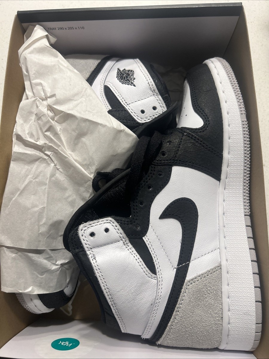 Nike Air Jordan 1 Retro High OG Stage Haze Bleached Coral  display picture 1