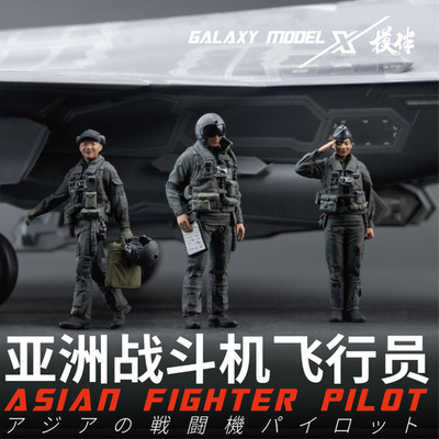 Galaxy F48088-48097  1/48 Asian Fighter Pilot Resin Soldier 3D PRINT