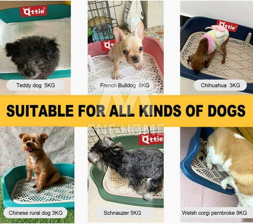 50X40X13CM Dog Pet Potty Training Pee Pad Mat Toilet Puppy Tray Indoor 3 Layers - Picture 7 of 13