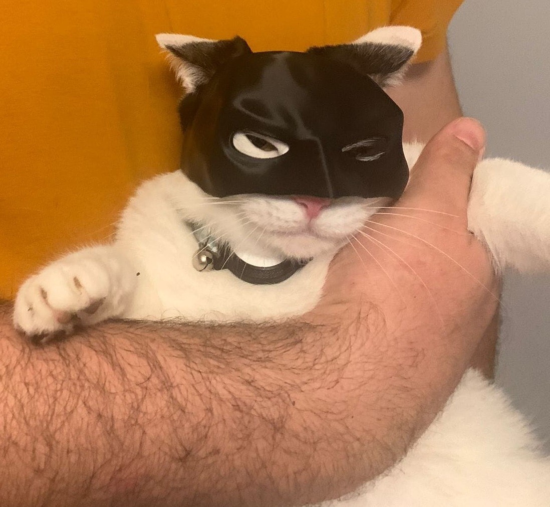 Máscara Batman para Gatos, Negro Impreso 3D, Disfraz Halloween para Tu Gato