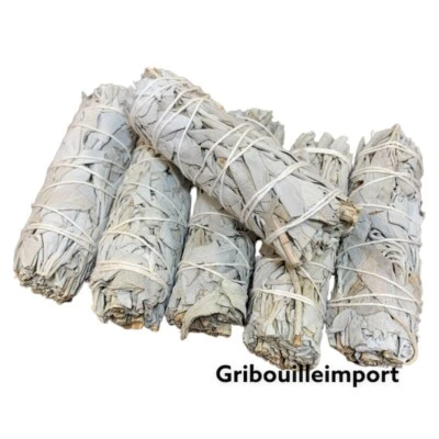 Lot 6 Fagots Sauge Blanche de Californie Salvia Purification Naturel