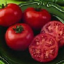 Tomato Bush Champion II 100 seeds