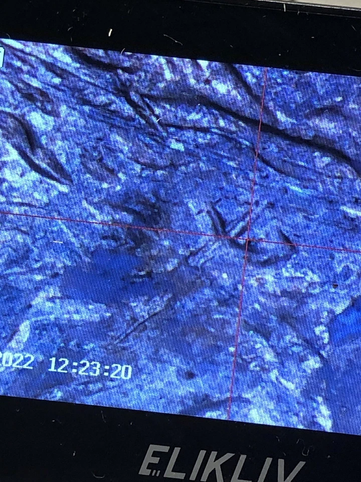 1996 p 💯🔥🌟jefferson 🌟💯nickel Double Struck One of t best history treasure￼ - Image 3 of 4