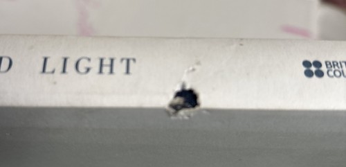 Borrowed Light Tracey Emin - Picture 4 of 13