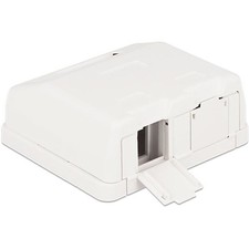 Delock Keystone Leergehäuse 2 Port mit Staub...