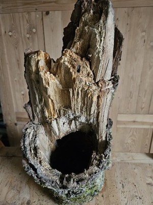 Eichenholz teilw. hohl Länge ca. 62cm Durchmesser ca. 20-22 cm Garten #2 