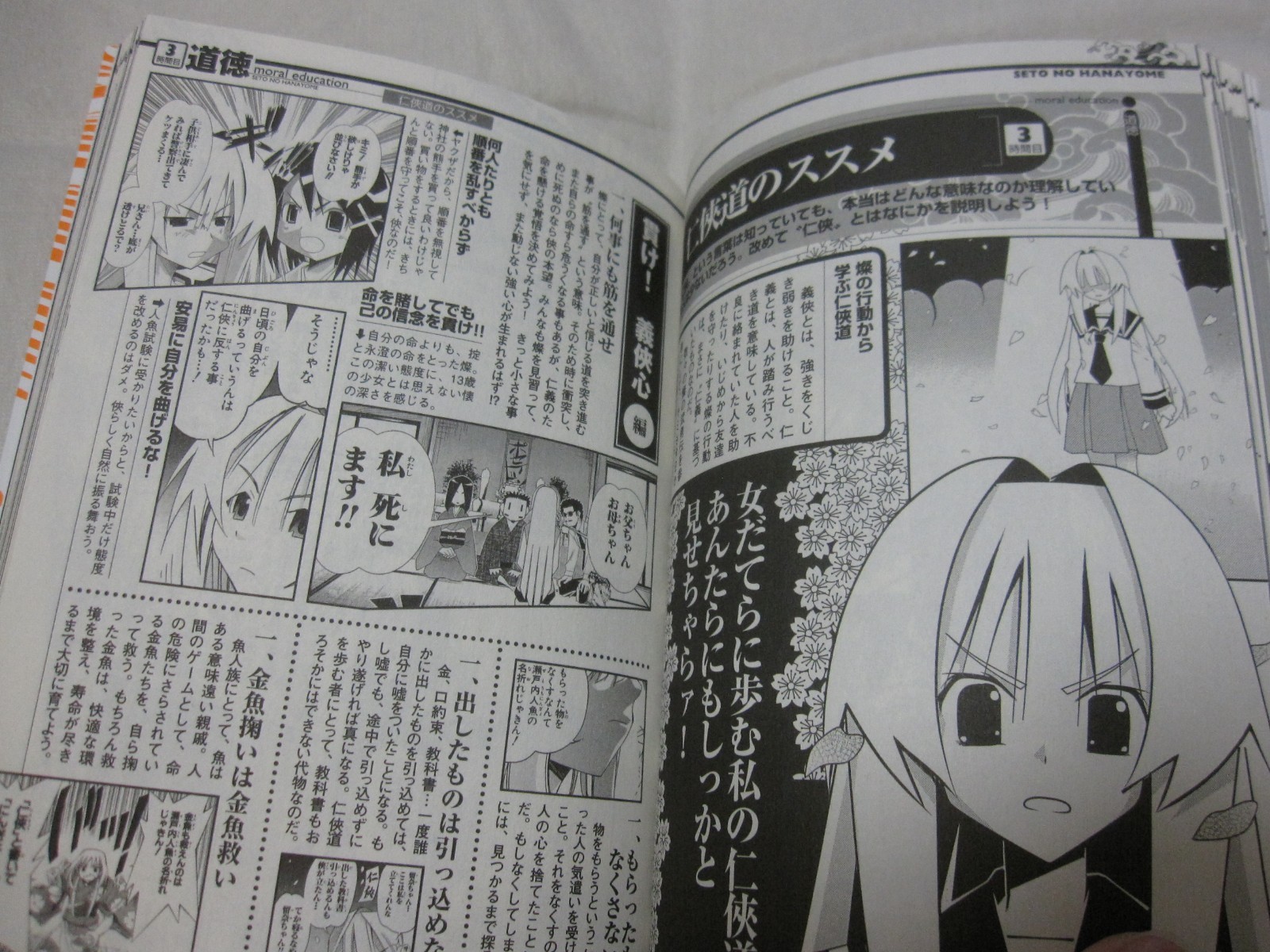 USED Seto no Hanayome Official Guide Book Sakura Japanese Manga Kimura Tahiko