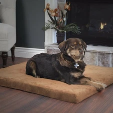 PAW Orthopedic Super Foam Pet Bed - Clay - Large 27 x 36 inches