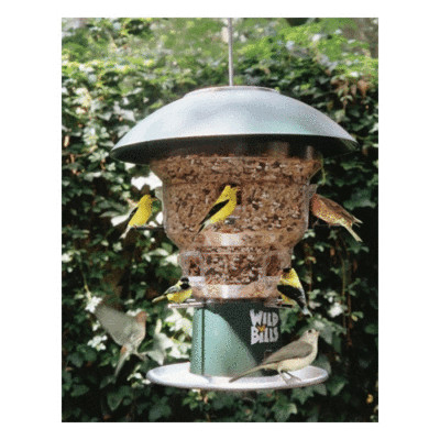 Wild Bill S Squirrel Proof 8 Station Bird Feeder New