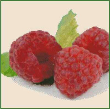Raspberries Counted Cross Stitch Chart No.41-106