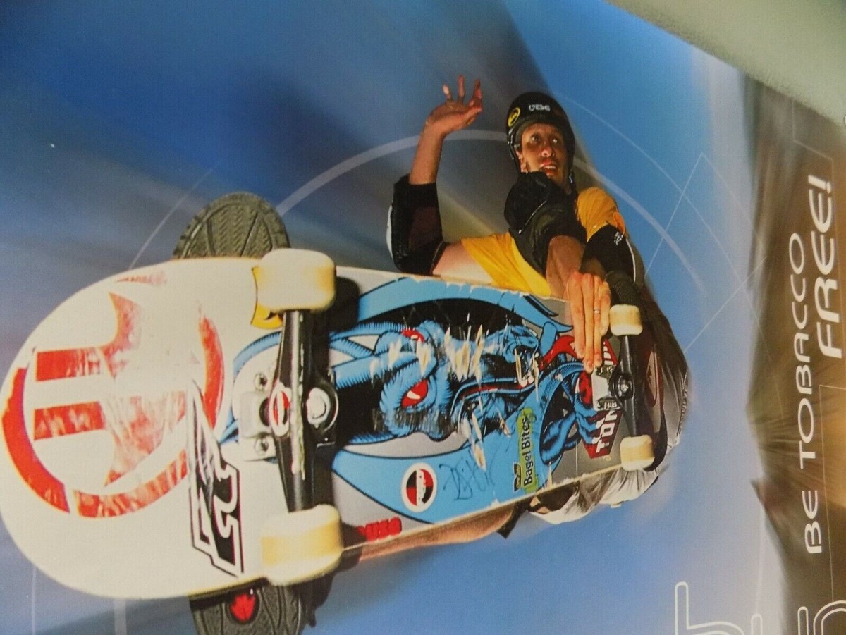 TONY HAWK World Class Skateboarder Poster 
