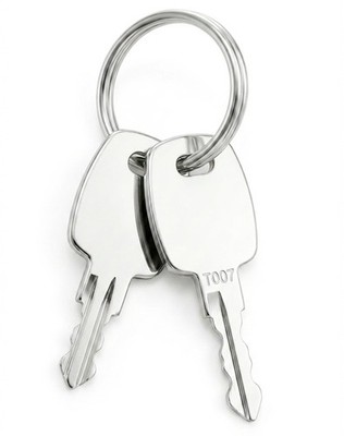 TSA Master Luggage Key Compatible with 002 and 007 Locks, Replacement TSA...