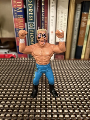 1990 Galoob WCW  STING STINGER Vintage Wrestling A...
