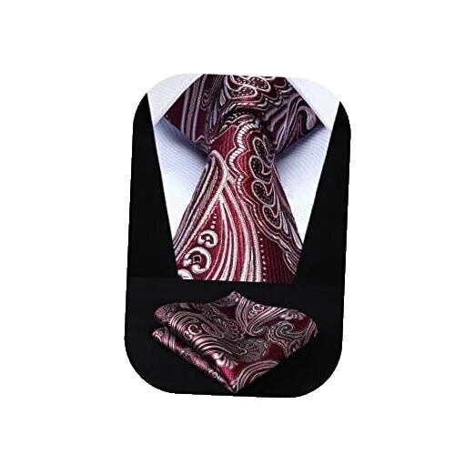 White Paisley Ties for Men