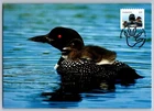 Canada 2012 Wildlife Loon FDC Maxi Card w/Pictorial Cancel