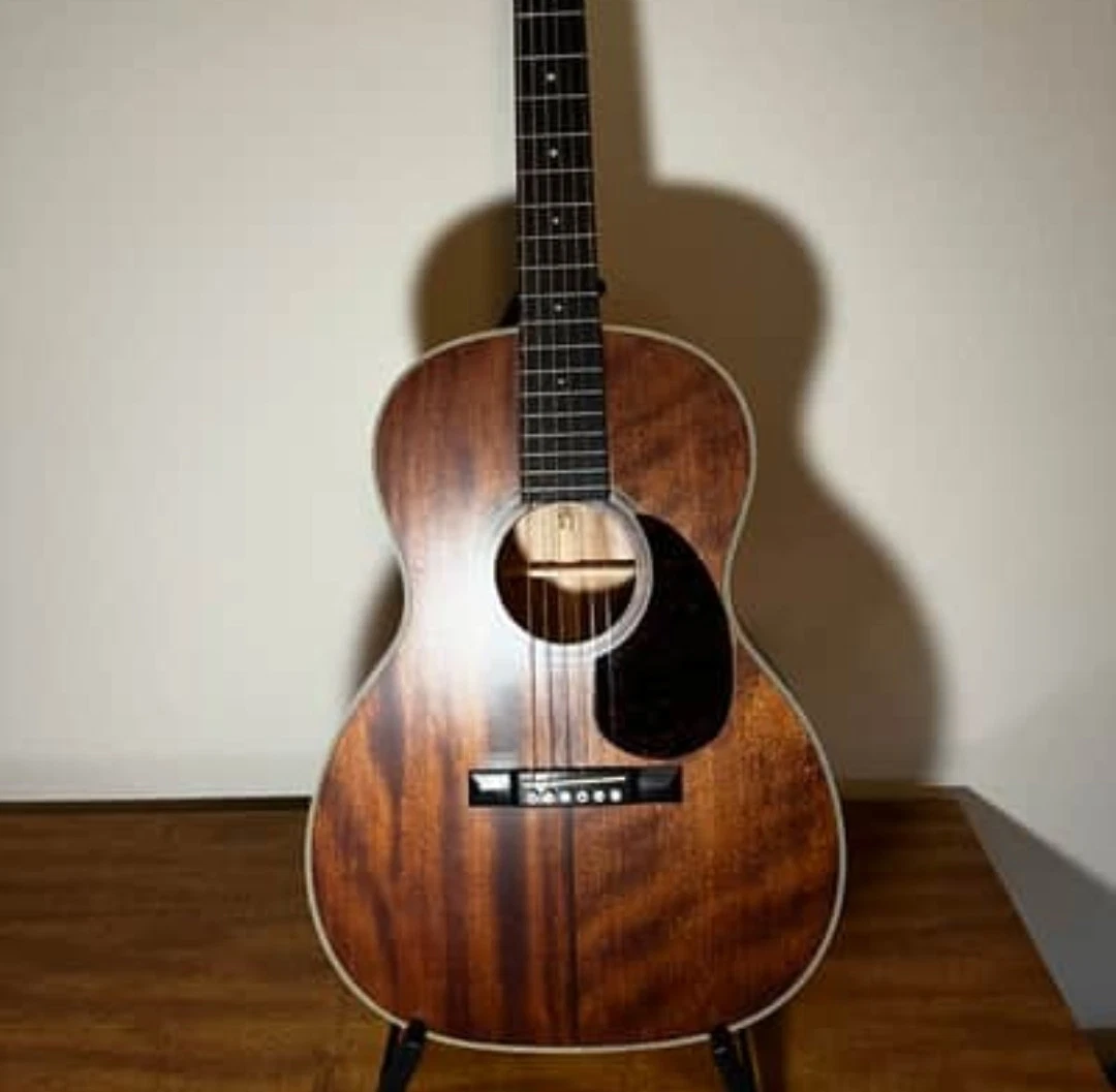 P.U、セミハードケース付き　RECORDINGKING RO-G6 used Recording King Ros 06 for sale | eBay