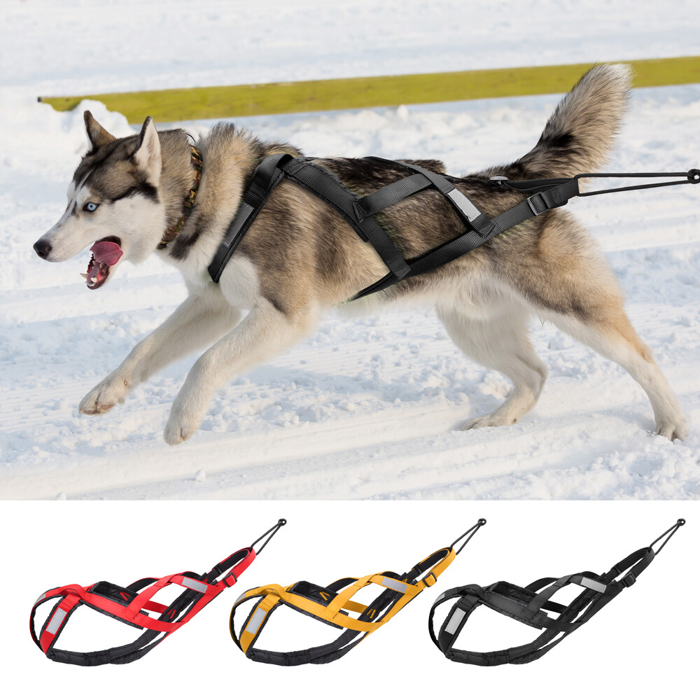 diy sled pulling harness