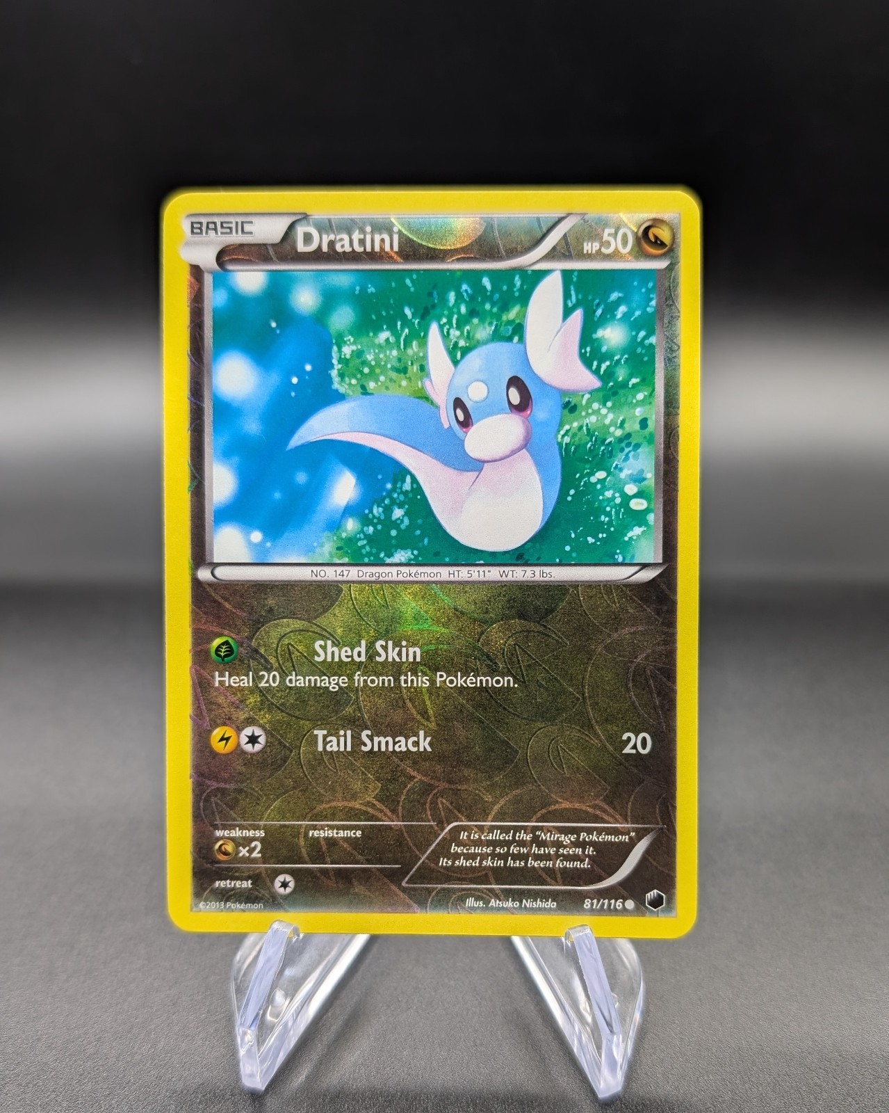 Dratini 81/116 - Plasma Freeze - Reverse Holo Rare - Pokemon TCG - LP