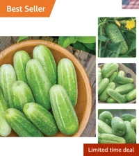 Exclusive 'Picklebush' Cucumber Seeds - Compact Vines, High Yield - 50 Seeds