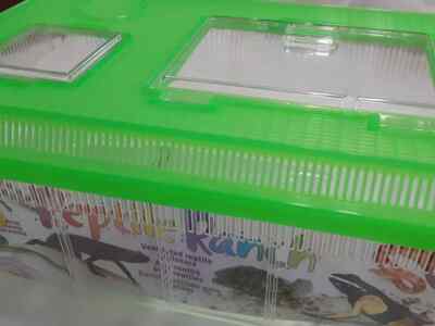Reptile Ranch, LARGE - Green/Clear - 18 x 12 x 6.5 inches - Lizard Turtle Spider
