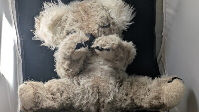 Gray Koala Bear