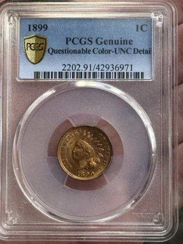 1899 Indian Head Penny 1c - PCGS Uncirculated “Questionable Color”