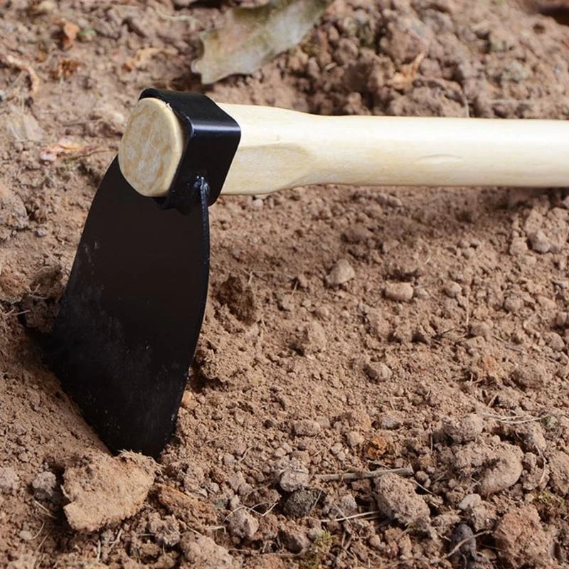 Hoe tool in agriculture deals