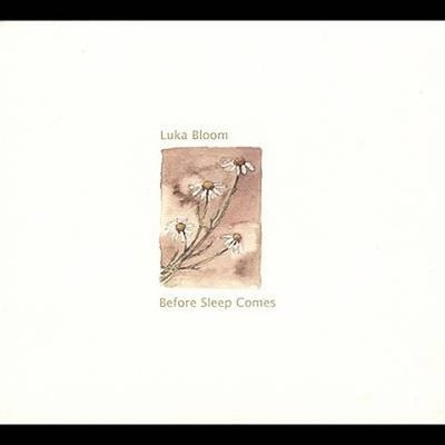 Before Sleep Comes -  CD N2VG The Cheap Fast Free Post
