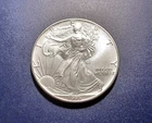 Gem BU 1995 American Silver Eagle