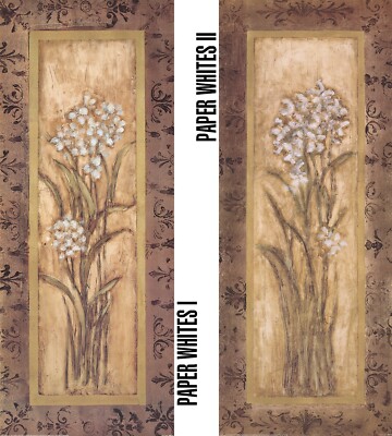 PAPER WHITES I (20W''X50H'') and II (20W''X50H'') by MINDELI - FLORAL 2PC SET CANVAS