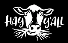 Hay Y'all Cow 6" White Vinyl Decal Car Truck Windows RV Camper Trailer