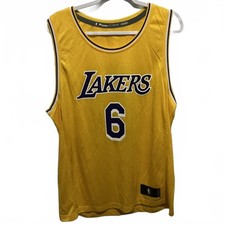 Fanatics Los Angeles Lakers LeBron James 6 Basketball Jersey