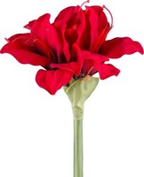 artplants Kunstblume Amaryllis Likone, Rot, 50Cm