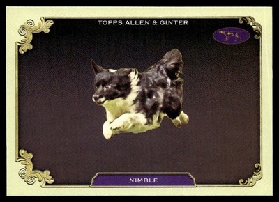 2024 Topps Allen & Ginter Stars Of The Show Westminster Kennel Club Nimble