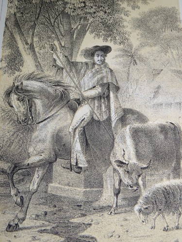 RARO Litografía CABALLERO MEXICANO GAUCHO MÉXICO AMÉRICA DEL SUR VIAJE CABALL... - Imagen 2 de 2